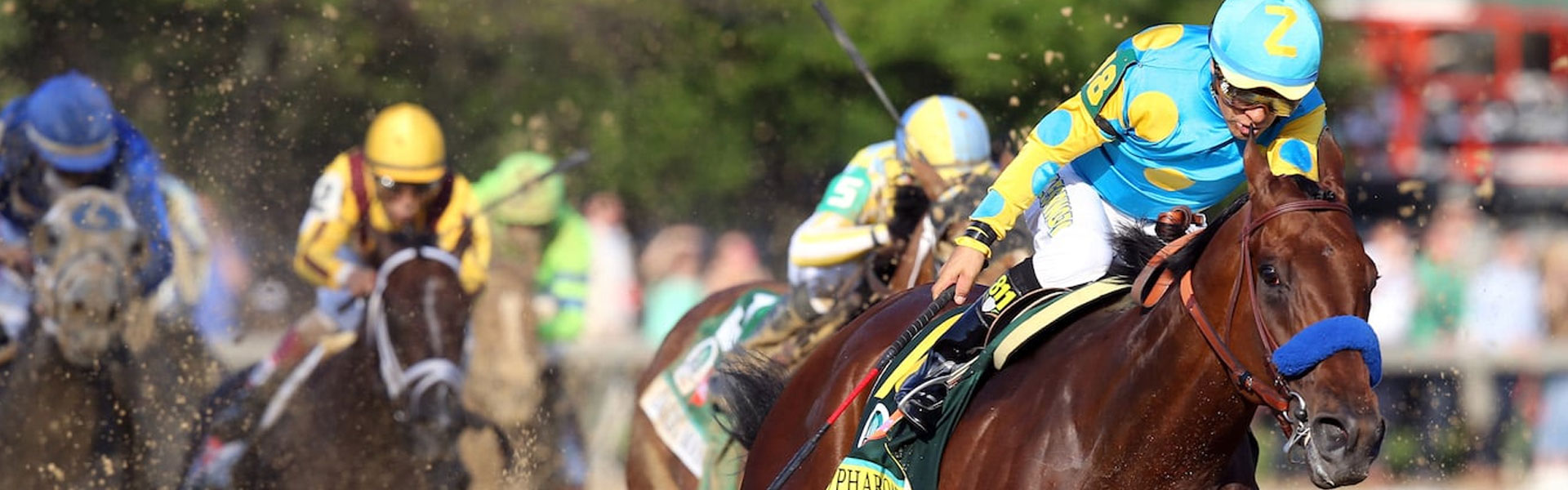Horse Racing (Triple Crown)