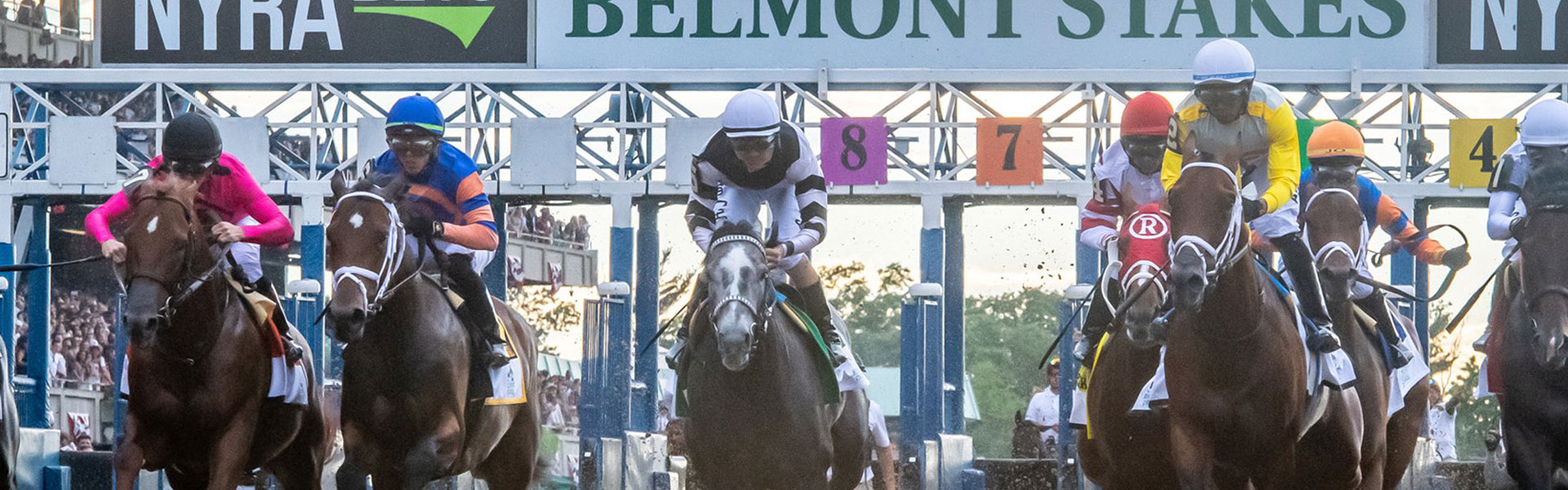 Belmont Stakes Belmont Park Elmont Ny