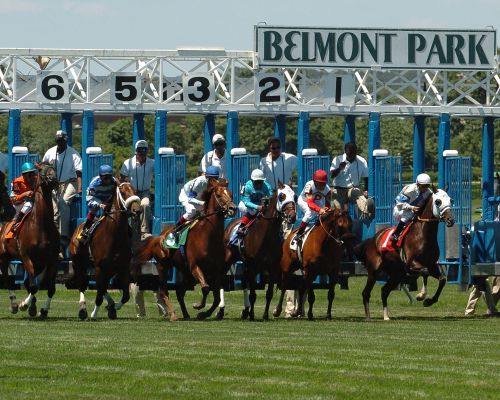 Massachusetts Airport Car Service to Belmont Stakes | Book a Chauffeur Limo