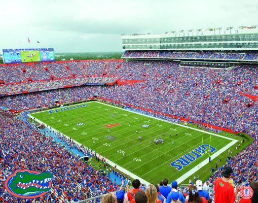 Florida Stadium Transportation & Airport Car Service | Book a Chauffeur Limo